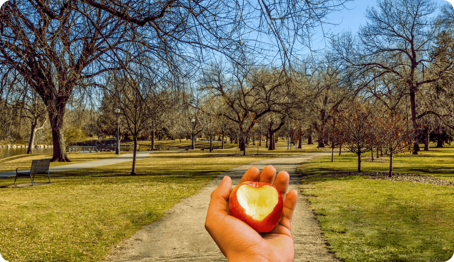 Walking path in the park with an apple compass